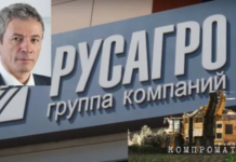 Почему выгодоприобретатель группы «Русагро» Вадим Мошкович как раз в настоящее время пошел в нападение на активы «Агро-Белогорья»