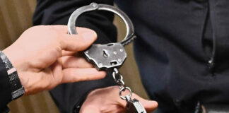 Проценты включили в сроки