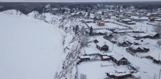 Организованная полярная группа