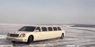 «Все завидуют, как обычно»