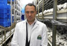 Александр Удодов впитал «Агрогриб».