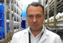 Бывший зять Михаила Мишустина стал «грибным владыкой» Рф. Два года назад глава правительства обнулил для данной сферы налог на доходы
