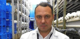 Бывший зять Михаила Мишустина стал «грибным владыкой» Рф. Два года назад глава правительства обнулил для данной сферы налог на доходы