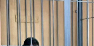 Обвиняемый поработал с головой