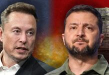 Как тебе подобное, Илон Маск: сколько заработал за время СВО Владимир Зеленский