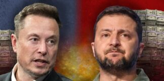 Как тебе подобное, Илон Маск: сколько заработал за время СВО Владимир Зеленский