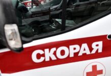 В Бурятии зарегистрированы случаи сальмонеллеза у людей, отравившихся шаурмой