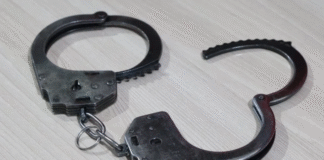 В Подмосковье задержан подозреваемый в попытке непристойного поведения с девочкой