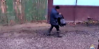 Бездомный в Тюмени похитил деньги и щедро поделился с друзьями, раздав более 200 тысяч рублей