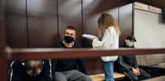 Лариса Долина в центре гражданского разбирательства: что произошло?