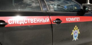Следственный комитет завершил расследование в отношении Митрошиной