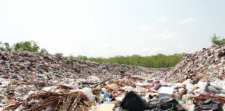 В Британии в пойме реки, любимой Толкином, обнаружили свалки из сотен тонн мусора