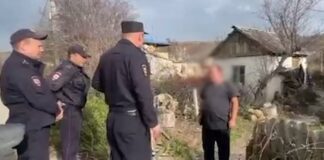 В Крыму инициировано уголовное дело по факту убийства и поедания собак местным жителем.