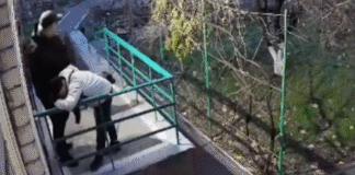 В Одессе мужчину отправили на службу, оставив его собаку привязанной на улице без присмотра