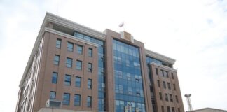 В Татарстане «отловщик» собак внесён в реестр недобросовестных поставщиков, решение признано законным.