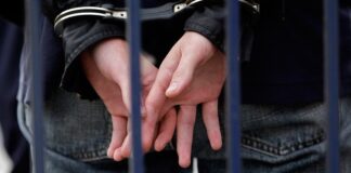 В австрийской столице задержаны два гражданина Украины по делу об убийстве их compatriota.