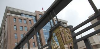 Преобразование 33 гектаров ИЖС в сельскохозяйственные угодья под Альметьевском стало настоящим чудом.