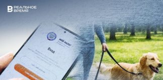 Минфин предлагает автоматизировать штрафы и ввести налог на выгул собак