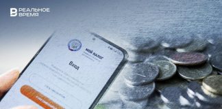 ФНС прогнозирует рост числа фиктивных разделений бизнеса на фоне увеличения самозанятых и ИП