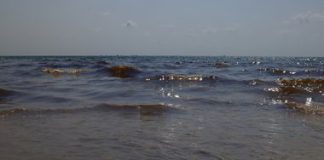 Мазут на вьетнамских пляжах сорвал отдых россиян: вместо моря — бассейн и утилизация вещей