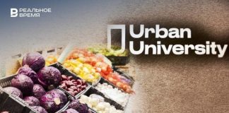Казанский продавец орехов должен ФНС 1,3 миллиарда, а Urban University ожидает банкротство