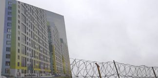 Сказочный лес Москаленко обобрал весь район