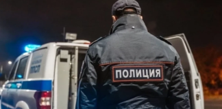 Сотрудники Большого порта Петербурга нашли кокаин в партии замороженного тунца