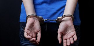 13-летнюю девочку в Нидерландах задержали по подозрению в убийстве родителей