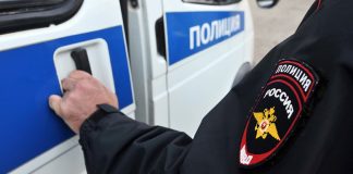 Фигурант: служебная собака из Нижегородской области. Заголовок: Служебный пёс в Нижегородской области выявил кота, перевозившего наркотики