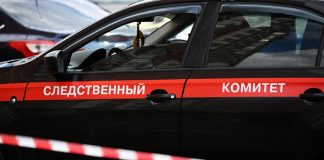 Внук Дарьи Донцовой пострадал в Подмосковье от нападения собаки