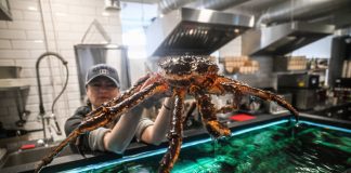Россия ударит по американским крабам: ответ на санкции