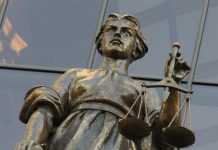 На бизнес-партнершу Елены Блиновской легло взыскание 57 миллионов рублей