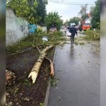 Очевидцы сняли на видео, как смерч в Нижнем Новгороде сорвал крышу и повалил деревья