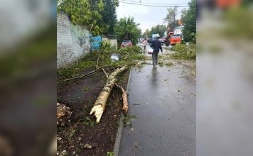 Очевидцы сняли на видео, как смерч в Нижнем Новгороде сорвал крышу и повалил деревья