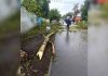 Нижегородский смерч, сорвавший крышу и поваливший деревья, попал на видео