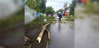 Нижегородский смерч, сорвавший крышу и поваливший деревья, попал на видео