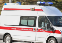 Суши с сальмонеллой в Салехарде: СК возбудил дело, а пострадавших стало ещё больше