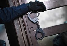 Взятки взяли в оборот