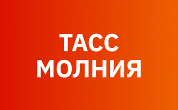 Медведь напал на женщин в Красноярском крае: следы на телах погибших указывают на хищника