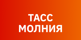 Причиной гибели женщин в Красноярском крае стал медведь: следы на телах погибших подтвердили нападение