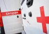 Нападение медведя в Томской области унесло жизни двух мужчин