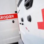 Нападение медведя в Томской области унесло жизни двух мужчин
