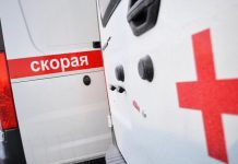 Нападение медведя в Томской области унесло жизни двух мужчин