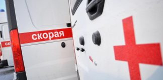 Нападение медведя в Томской области унесло жизни двух мужчин