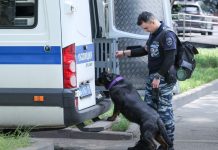 Донецкие правоохранители задержали блогера Ивана Золо, обстоятельства произошедшего выясняются