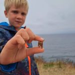 Детская находка вскрыла братскую могилу жертв кораблекрушения XVIII века