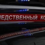 В Калининградской области пропавшего четырёхлетнего мальчика обнаружили без признаков жизни