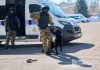 Полиция Татарстана наложила штраф на поставщика тест-тренингов для собак