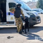 Полиция Татарстана наложила штраф на поставщика тест-тренингов для собак