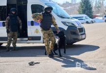Полиция Татарстана наложила штраф на поставщика тест-тренингов для собак